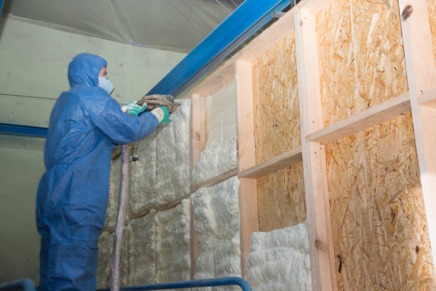 Attic Insulation Near Me in Waldo, FL